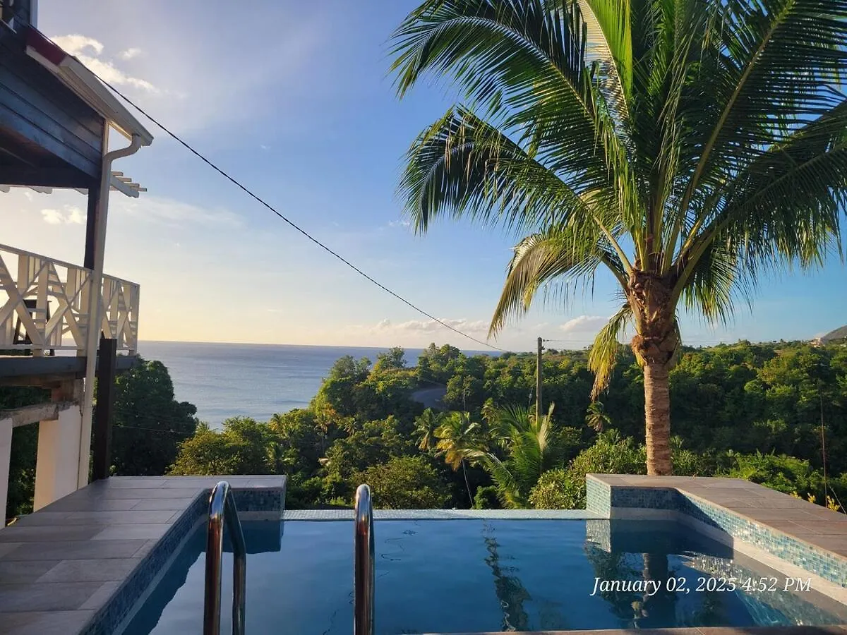 Southern Sunset Villa Choiseul 0*,